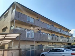 エボルジオンの画像