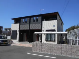 プリムローズBの画像