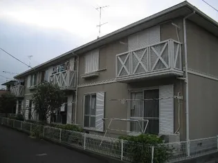 マルベリーBの画像