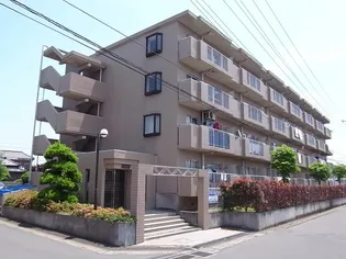 エントピアの画像