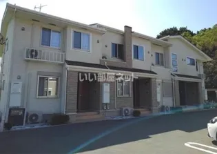 ハクモクレン Cの画像