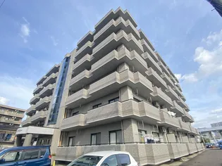 ファーストフィンガーの画像