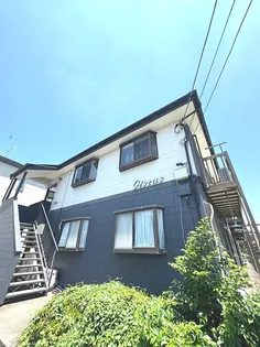 シスタスの画像