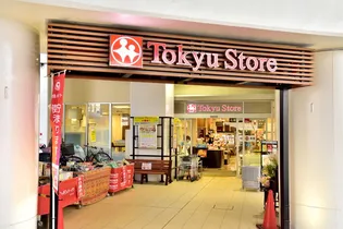 クレセントユニ高津第二【6階】の周辺