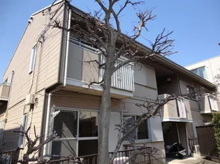 タウニィ二子の画像