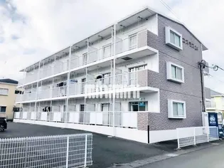 コスモス24の画像