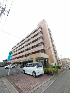 寺澤ハイツ【5階】の外観