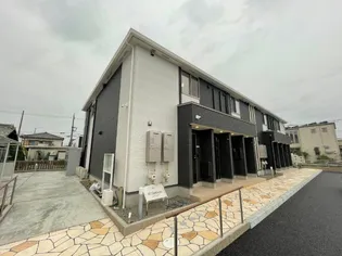 M'Sルミナスの画像