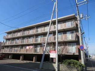 アトリオ ミヤギの画像