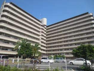 ケントパレス徳島南【8階】の外観