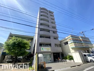 ロータスワゼルの画像