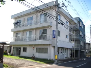 ティーズ3の画像