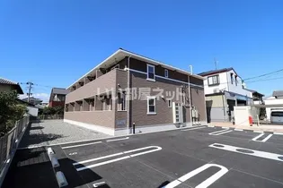 シェーン ブリーゼの画像