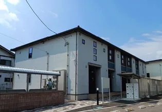 コンフォート チェリッシュの画像