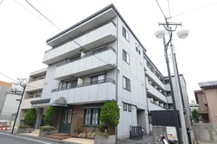 セントアイヴィス向島の画像