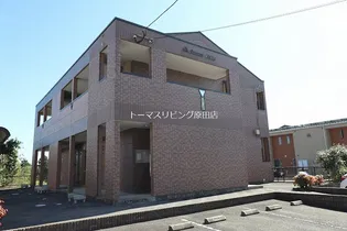 SUNNY HILLSの画像