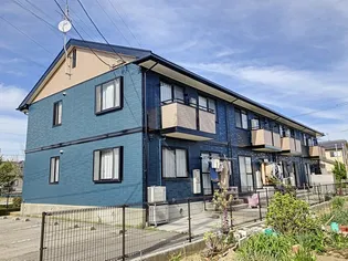 アミエーラの画像