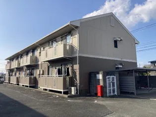 エビスセジュールDの画像