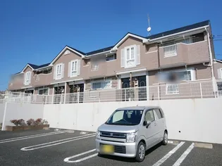 ベルウッド 381 Bの画像