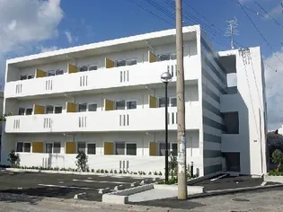 ハイビスカスの画像