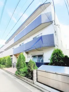 セレッソ 和 IIの画像