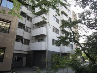 リバーサイド小島【6階】の外観