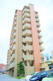 サン ビオ空港通りの画像