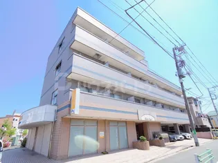 ステラコートの画像