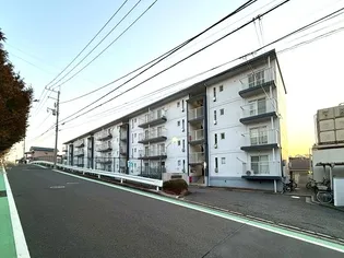 シャルムすみれの画像