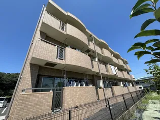 LOTOS BLUMEの画像