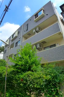 ハイヤーム桜台【1階】の外観