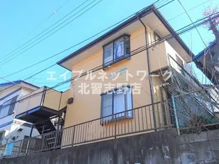 パピヨンジュネスの画像