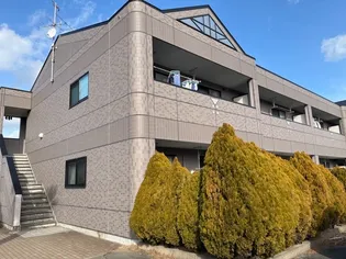 プリシードの画像