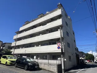 リッチハイツ新小岩【3階】の外観