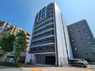 ダーシャモリの画像