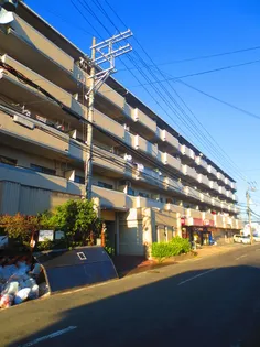 クレール白鳩の画像