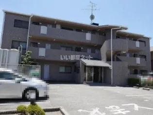 グリーンエクセル梅ノ木の画像