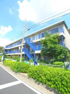 ファミ-ユ【2階】の外観