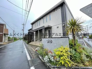 パックスヴィータの画像