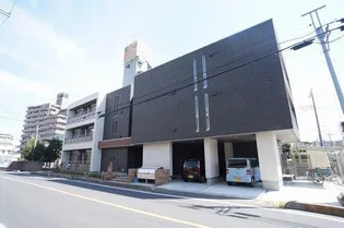 ジャカランダの画像