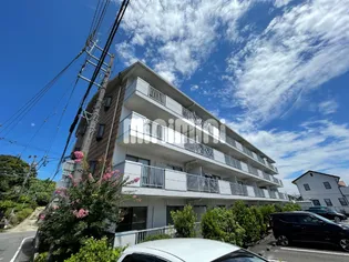 ルイボステー1の画像