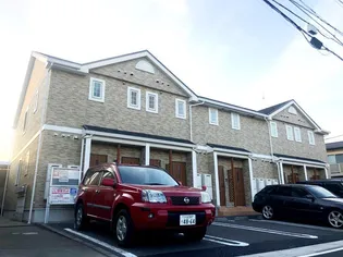 プラシードの画像