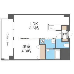 アニマーレ長堀【5階】の間取り