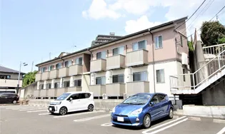 アムール 桃花の画像