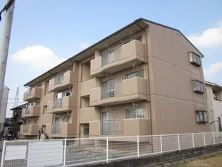 MAISONアゼリアの画像