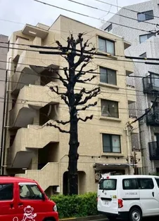 パレ ドール中野第5の画像
