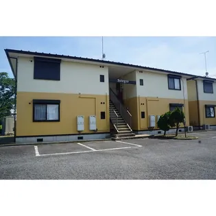 シャルマンVの画像