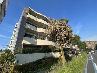 グレース代官2の画像