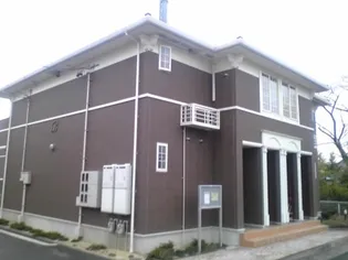 サンフラワーの画像