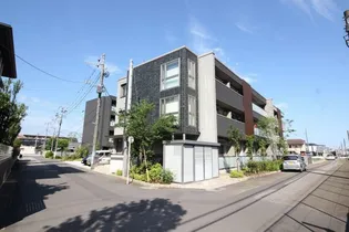 オルテンシアの画像